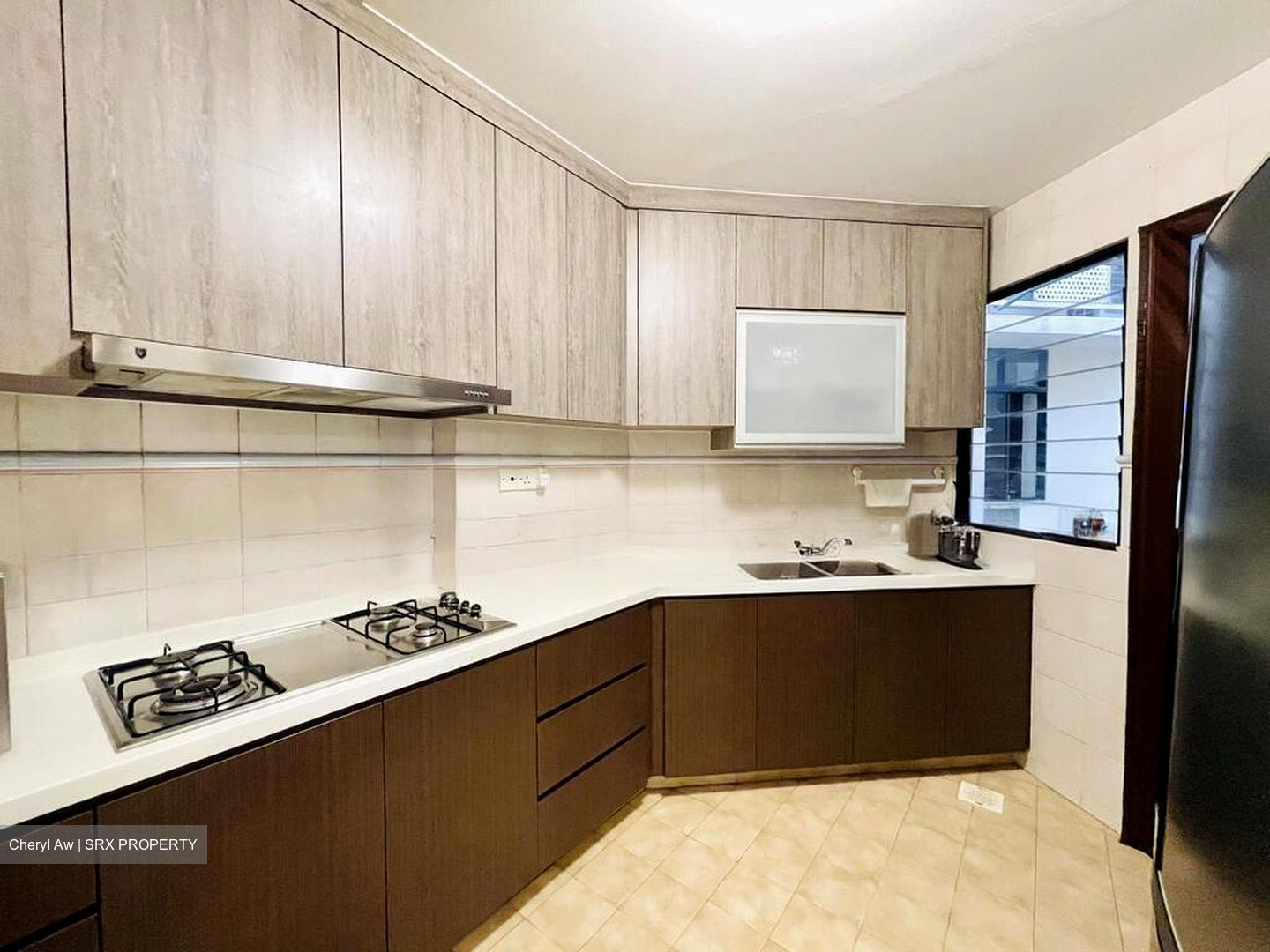 Dover Parkview (D5), Condominium #524216821